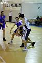 Basket 252058